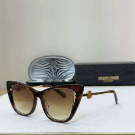 Picture of Roberto Cavalli Sunglasses _SKUfw65350547fw